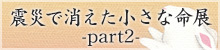 震災で消えた小さな命展2