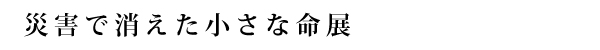 震災で消えた小さな命展